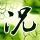 办理高仿美国皇后学院文凭学位【degxx.com】